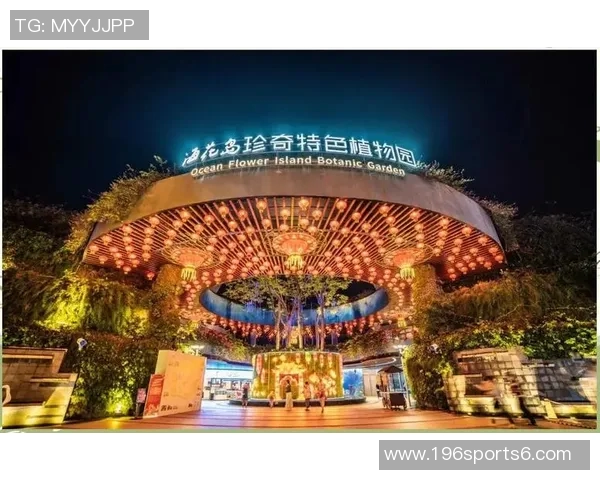 南美足球的魅力与激情探秘从历史到未来的精彩旅程